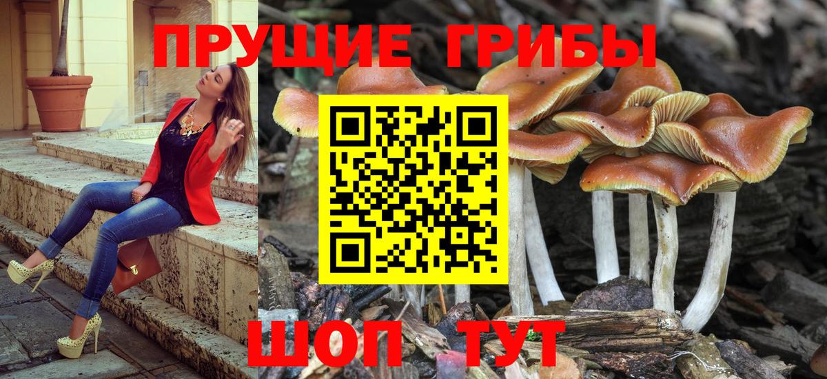 Волжский  Псилоцибиновые грибы Magic Shrooms  Вход с VPN 