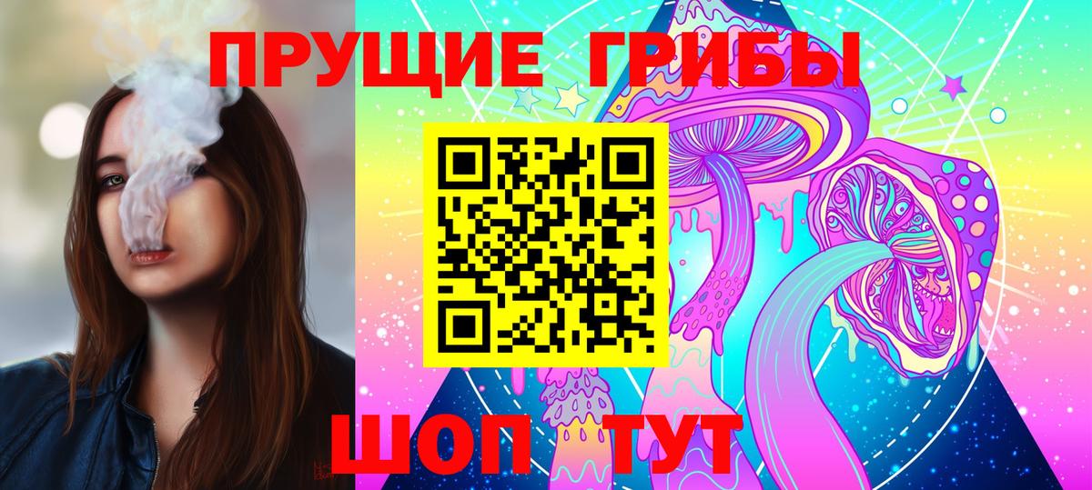 Галлюциногенные грибы Psilocybine cubensis Волжский